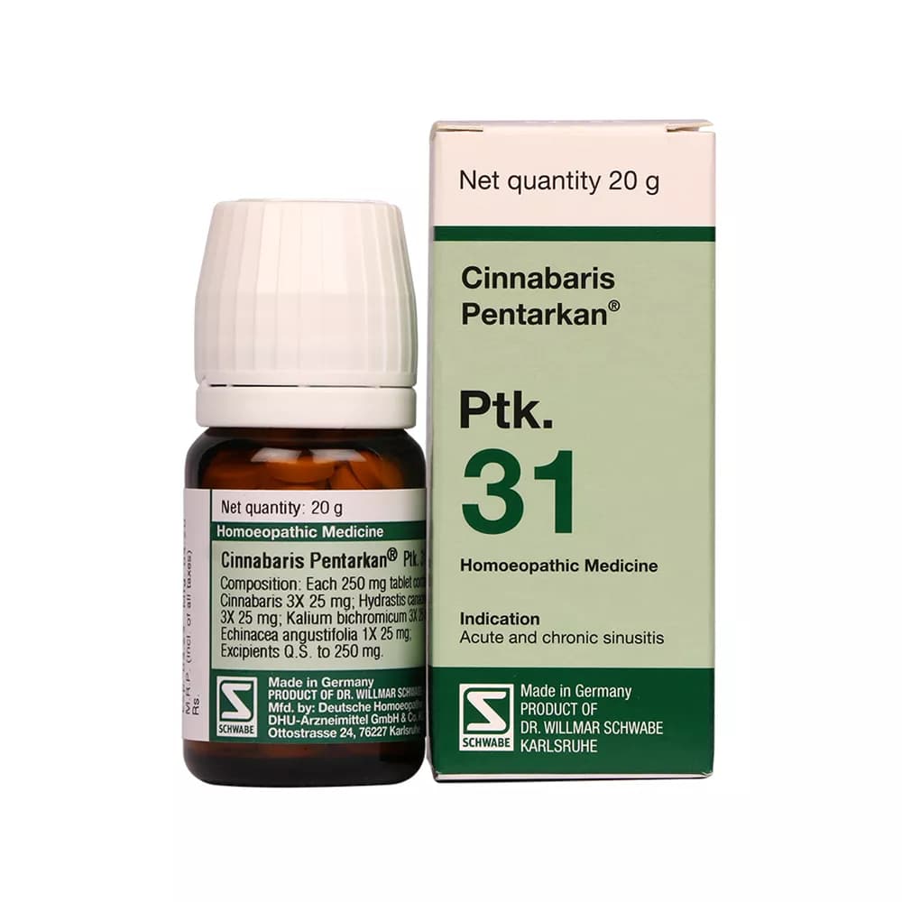 Dr.Willmar Schwabe Cinnabaris Pentarkan Ptk 20 g Main Image