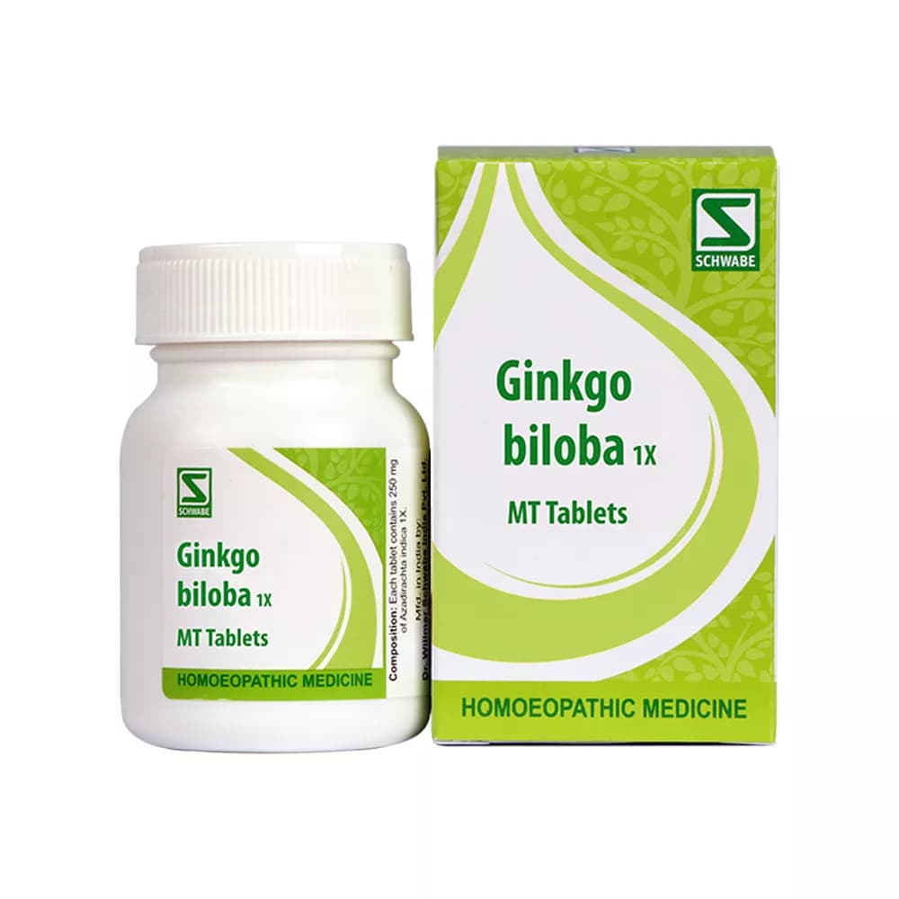 Dr.Willmar Schwabe Ginkgo biloba 1X 20 g Main Image