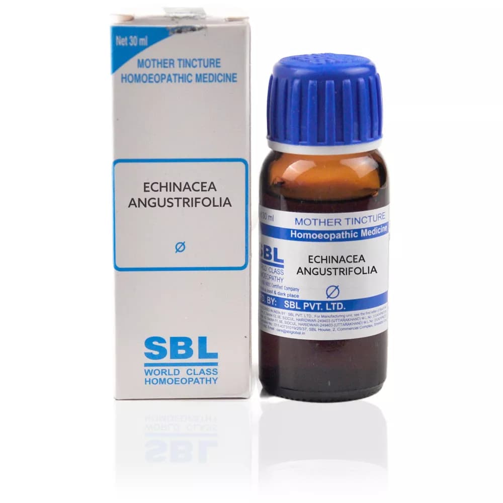SBL Echinacea Angustrifolia Mother Tincture Q 30 ml Main Image