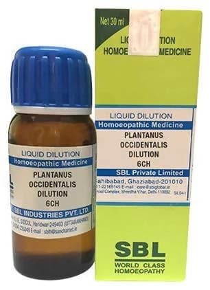 SBL Plantanus Occidentalis Dilution — 30 ml / 6 CH