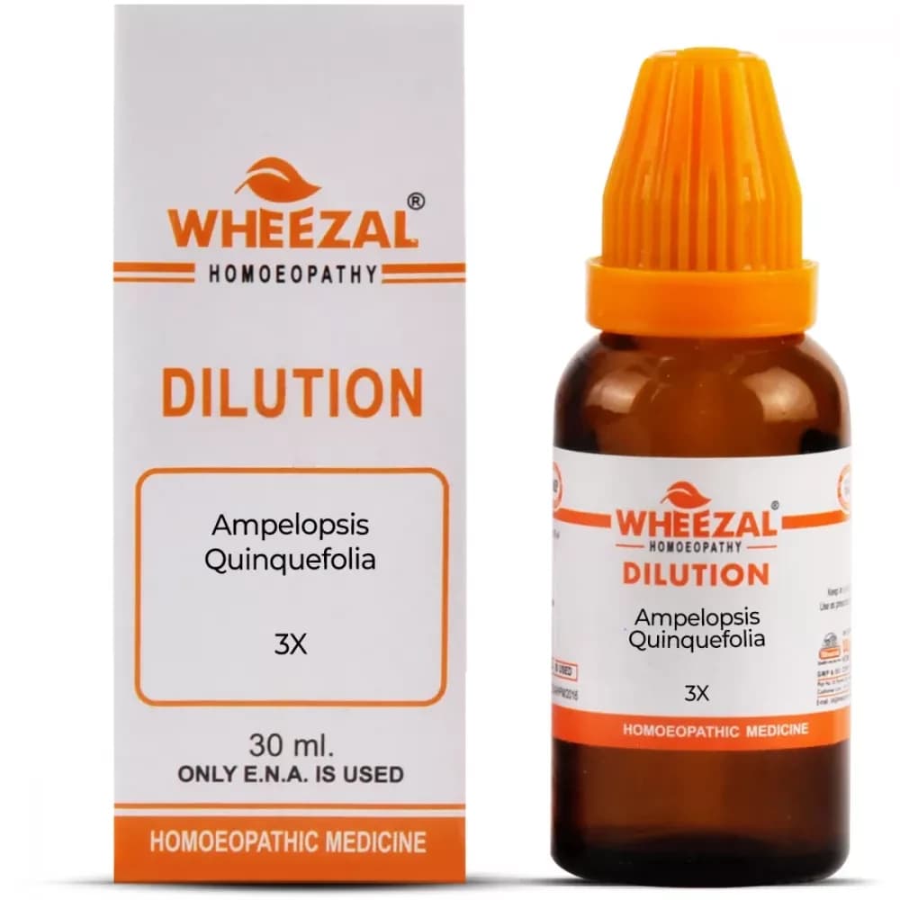 Wheezal Ampelopsis Quinquefolia Dilution 30 ml 3X Main Image